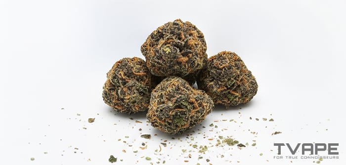 Cookies (cannabis strain type) - a close-up view