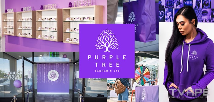 Purple Tree Store