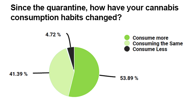 How have cannabis consumption habits changed during covid-19