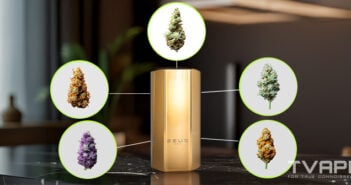 Beginner’s Guide to Weed Strains: Types, Families, and How to Choose the Right One