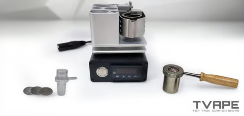 Terp Chasers Club Universal Baller