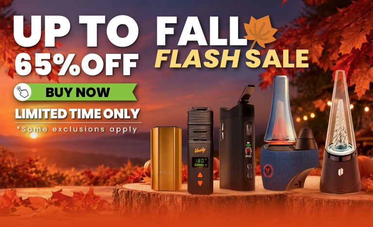Fall Flash