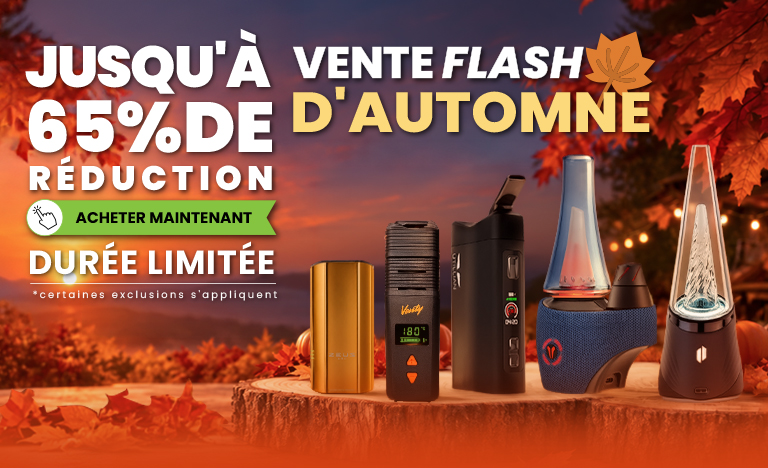 Fall Flash