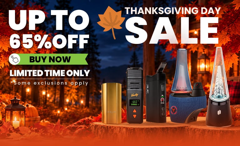 Thanksgiving Day Sale