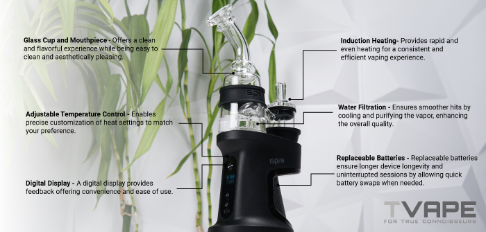 Ispire Daab E Rig full key features