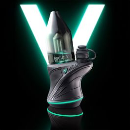 Cross sell: Focus V Carta Sport